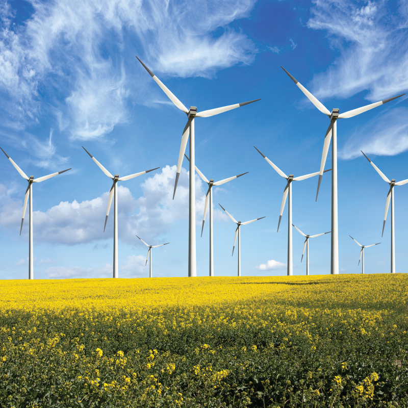 Huiles synthétiques